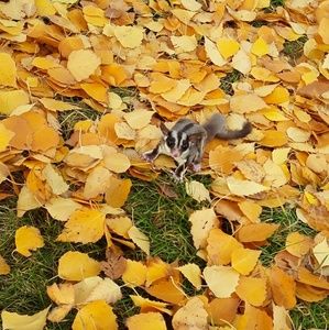 Meet your Posher, Jule